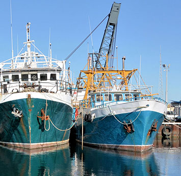 Types of Commercial Fishing and Nets: Trawling, Longlines, Purse Seiners